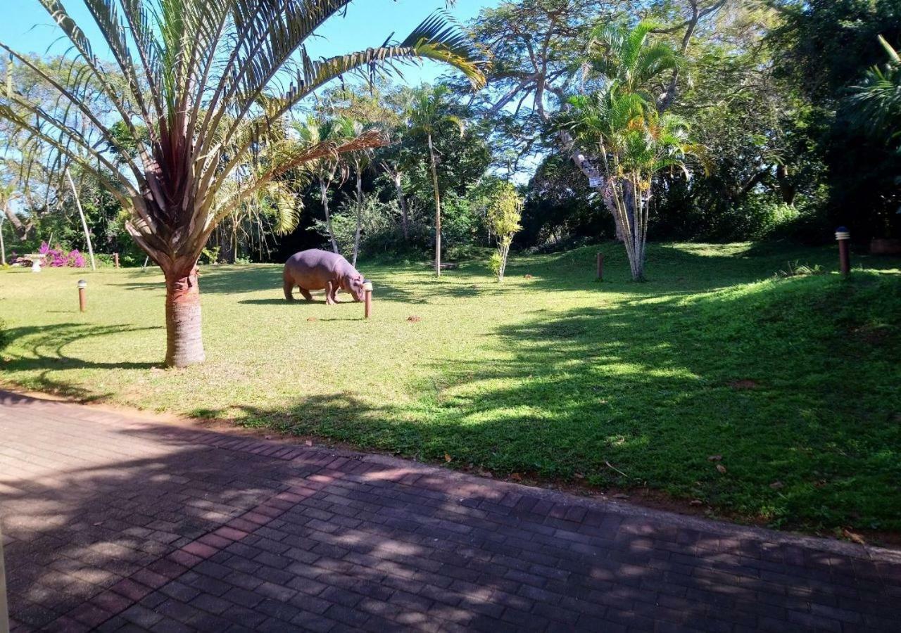 Elephant Lake Hotel St Lucia Luaran gambar